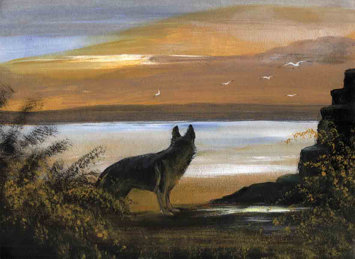 German Shepherd Dog on a beach