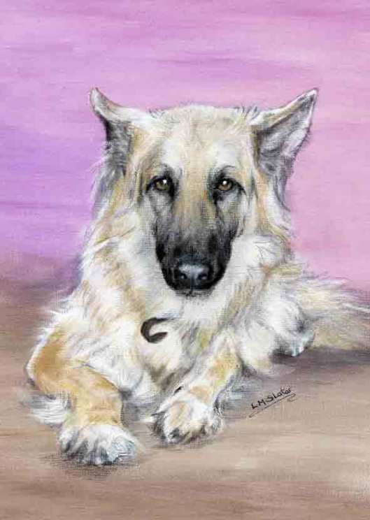 German Shepherd
