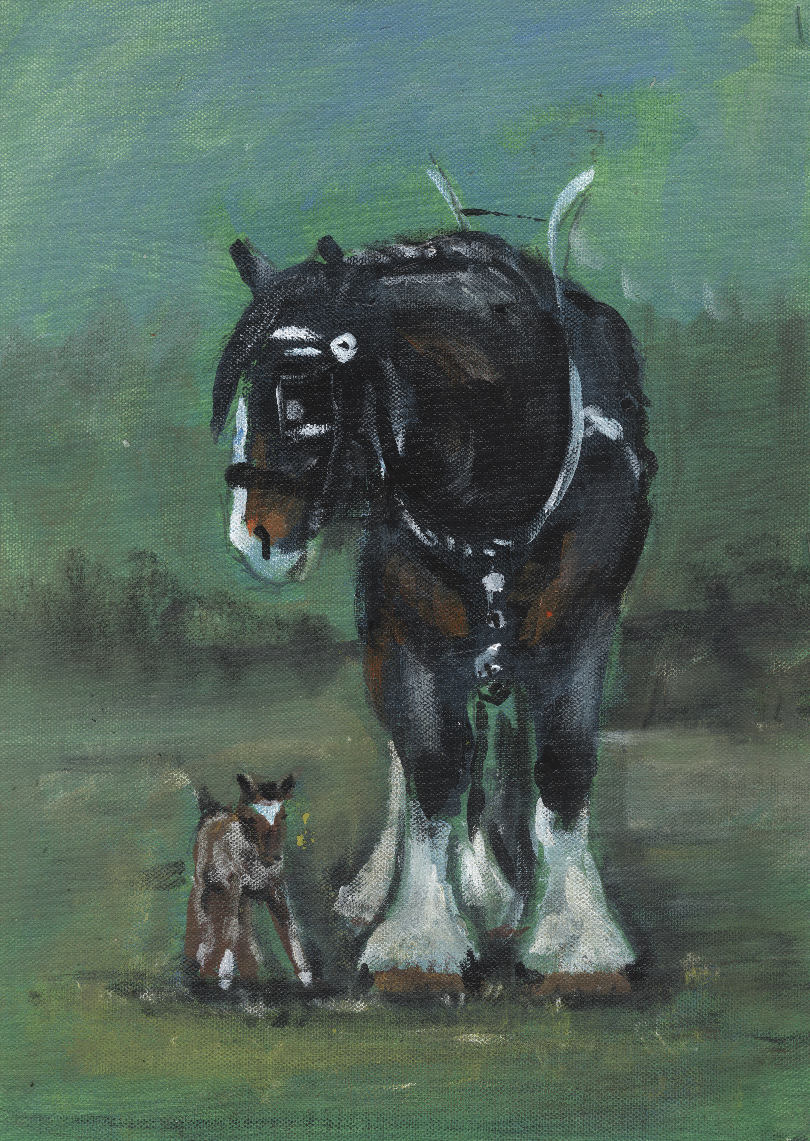 From the shortest to the tallest.