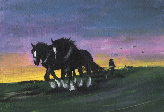 Shires in the sunset