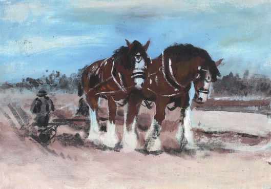 Shires on a bright day.