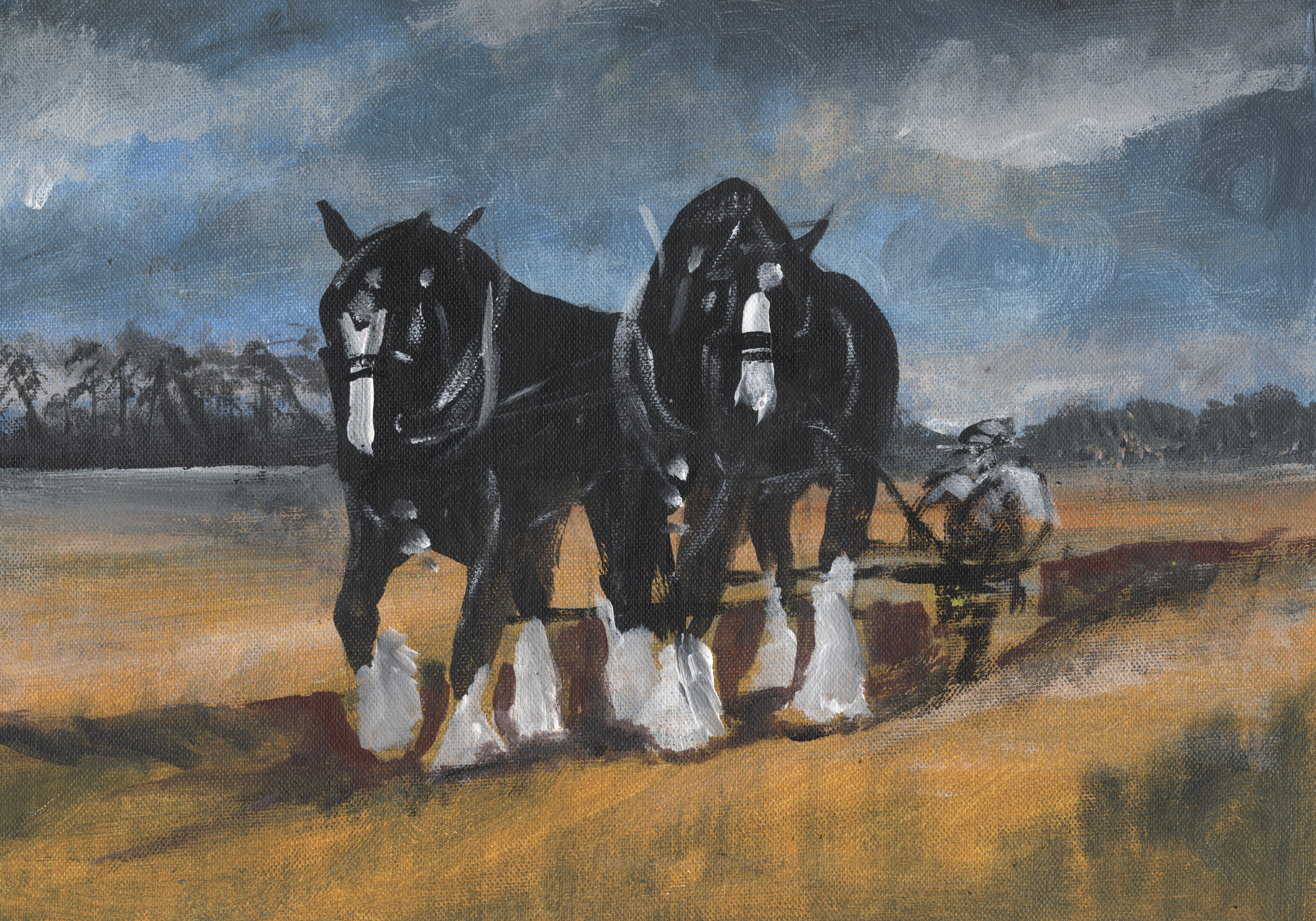 Another fine pair on a stormy day.