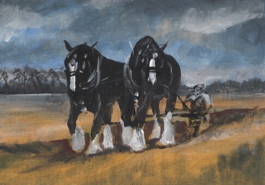 Another fine pair on a stormy day.