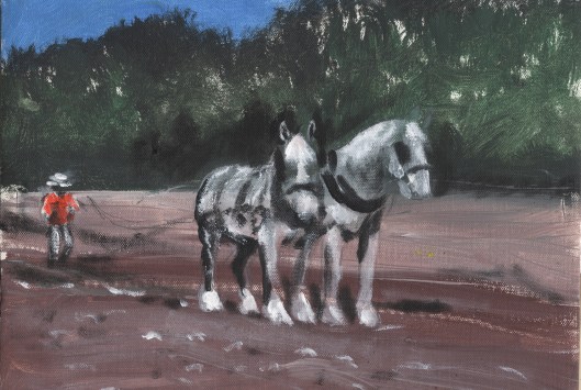 Dappled greys in the sunshine.